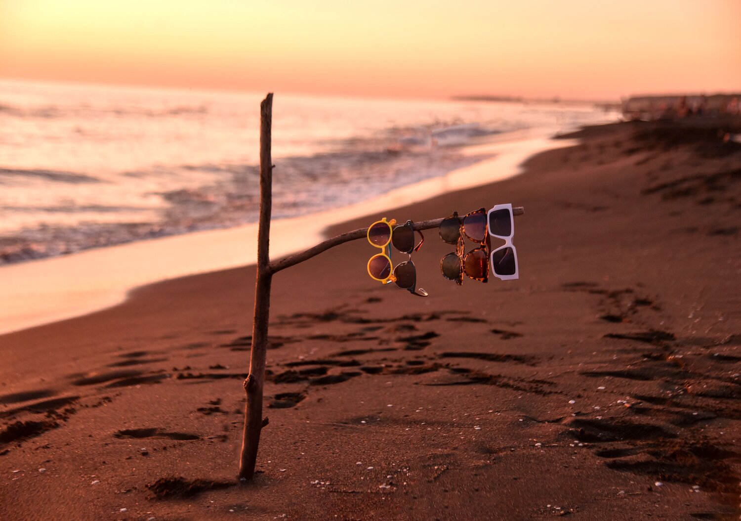 Photo #13903908
