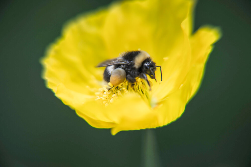 Photograph by Екатерина Кальченко