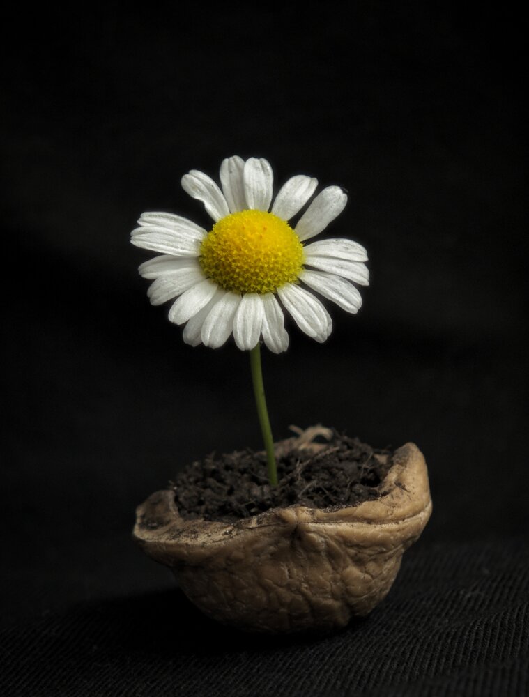 Photograph by Ксения Шилина