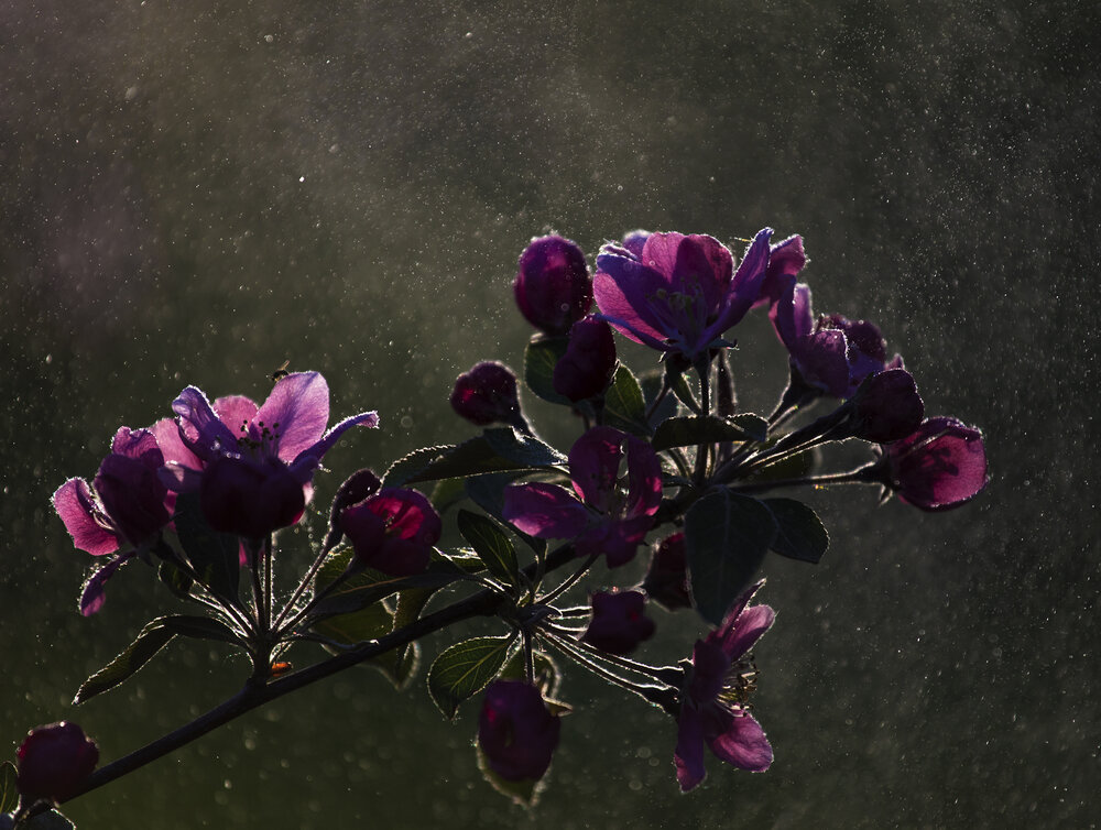 Photograph by Анна Акименко