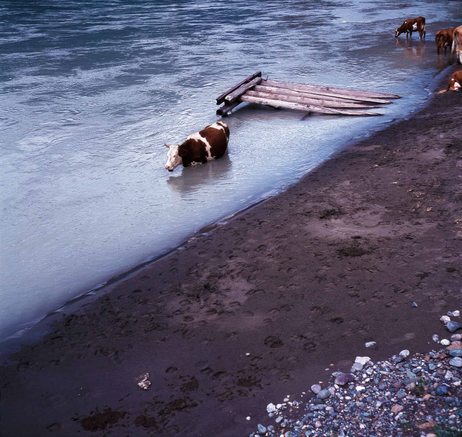 Photo #13903981