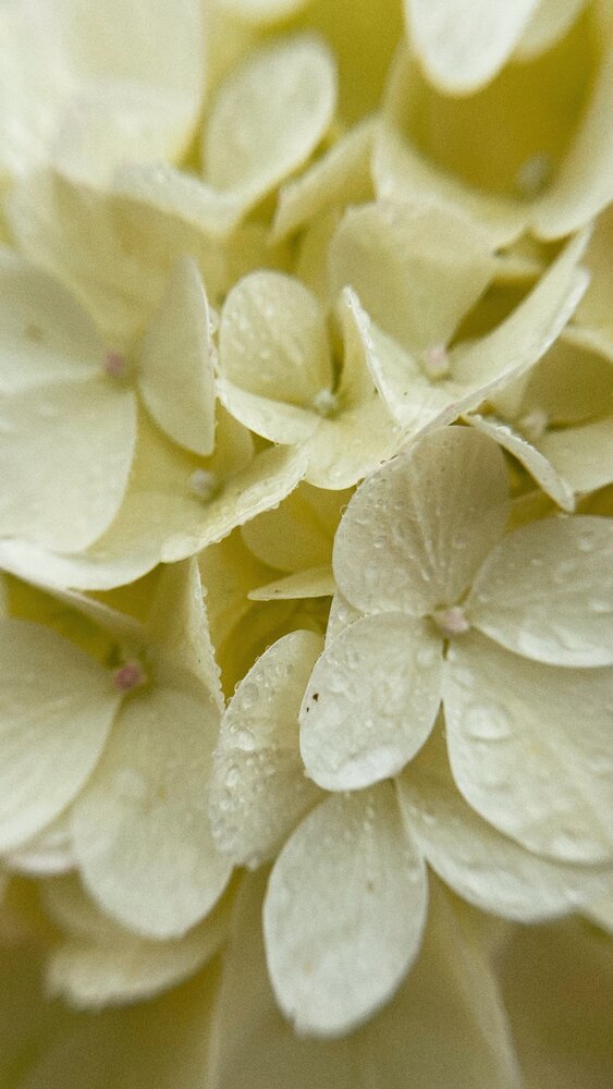 Photograph by Kristina Domanina