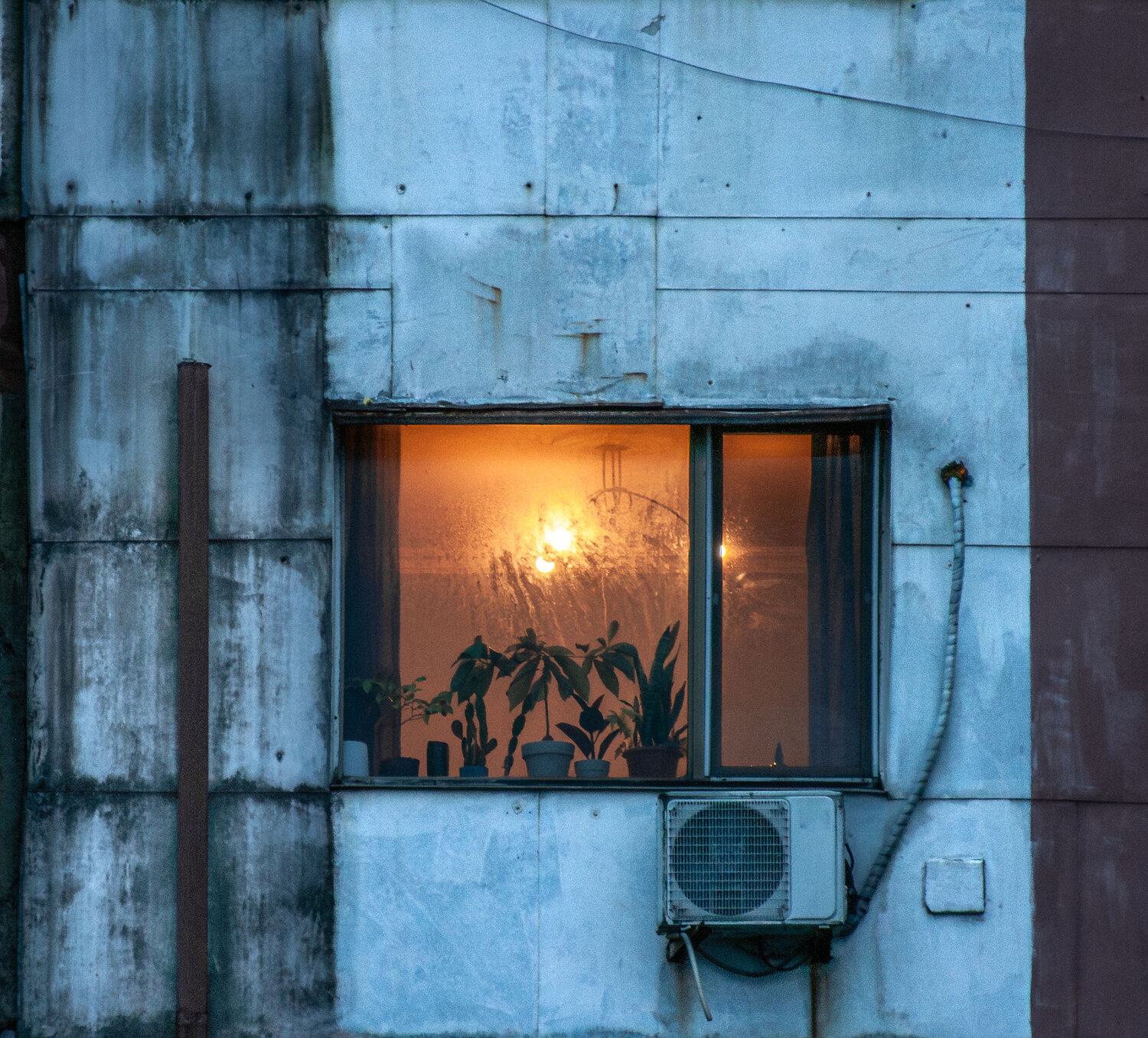 Photo #13904102