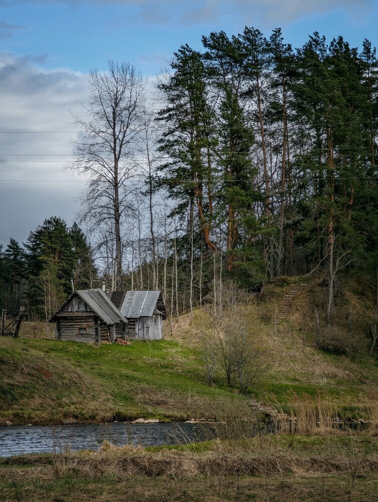 Photograph by Россоловская Евгения