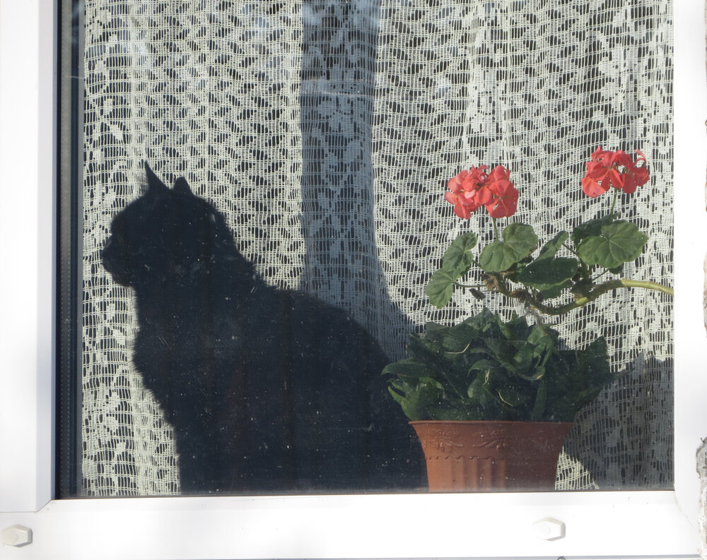 Photograph by Лариса Басова