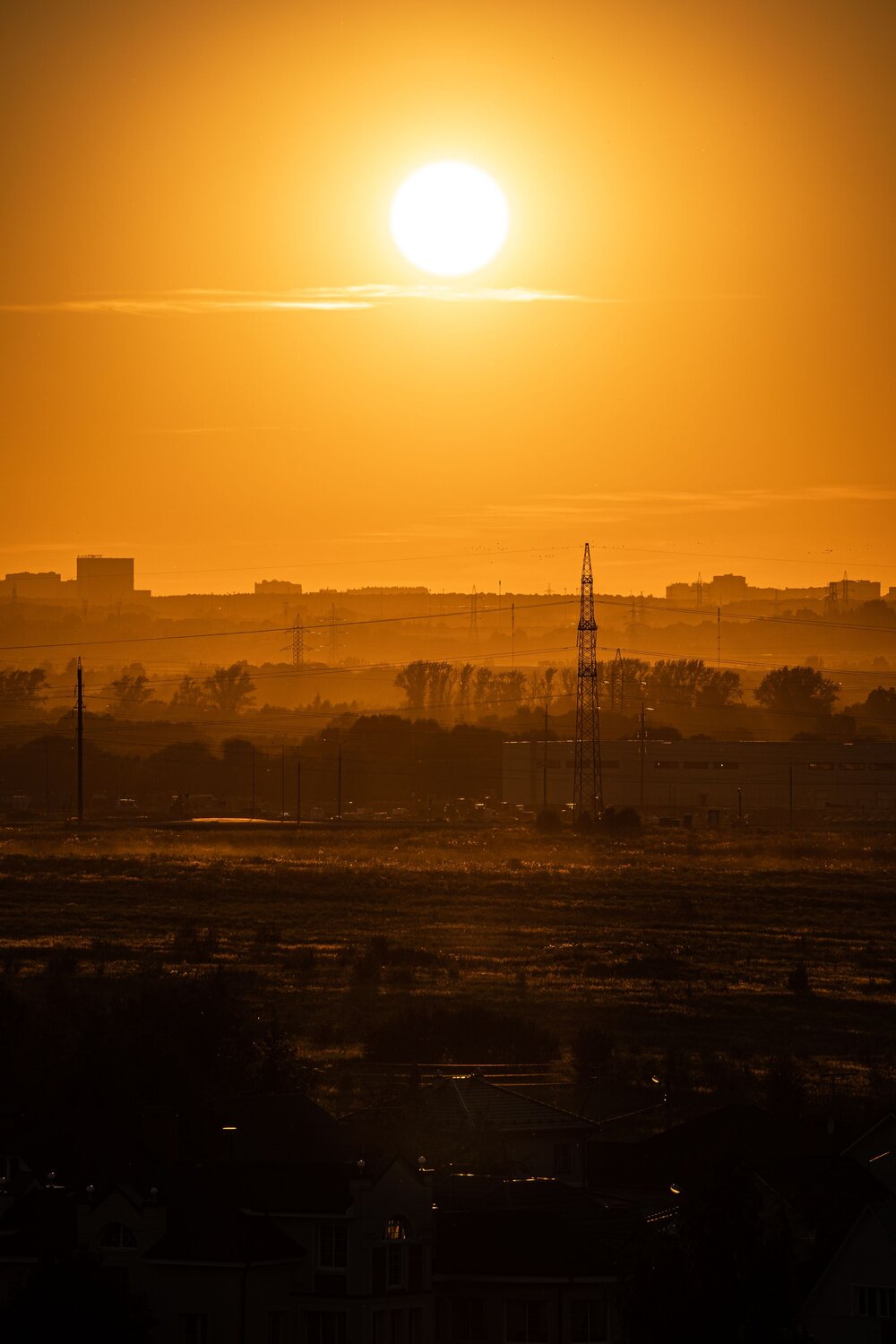 Photo #13904123