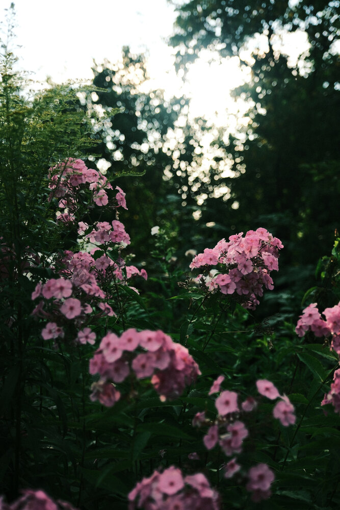Photograph by Dmitriy Stepanov