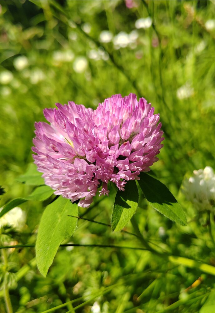 Photograph by Оксана Лобанова