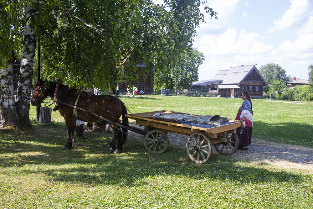 Photograph by Дмитрий Секачев