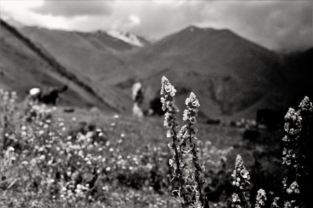 Photograph by Dima Maltsev