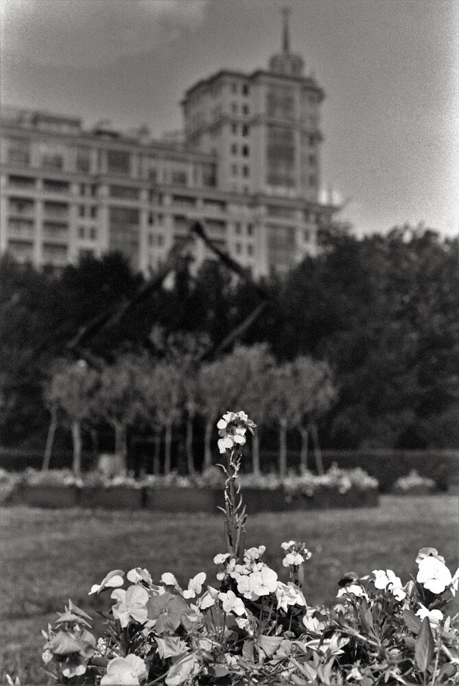 Photograph by Dima Maltsev