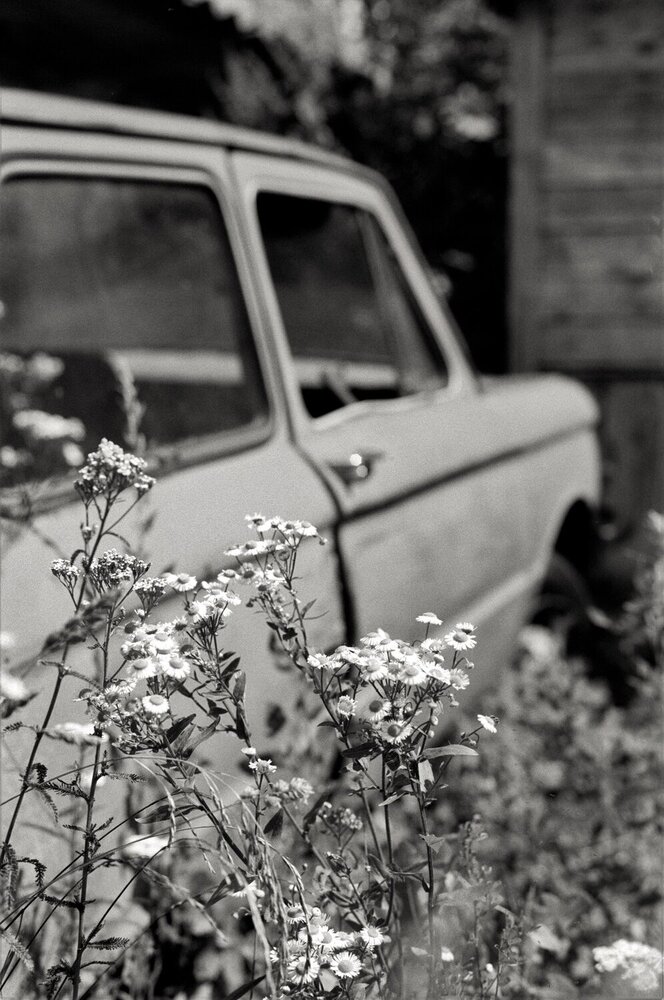 Photograph by Dima Maltsev