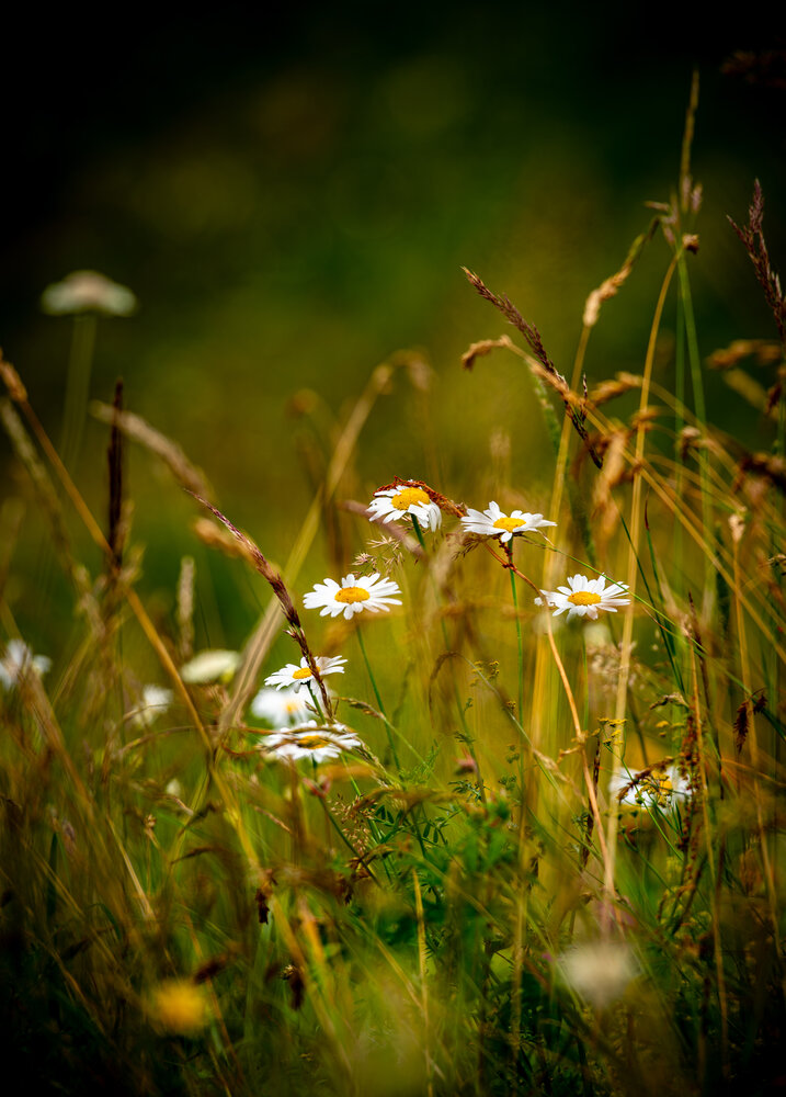 Photograph by Хуршудов Дмитрий