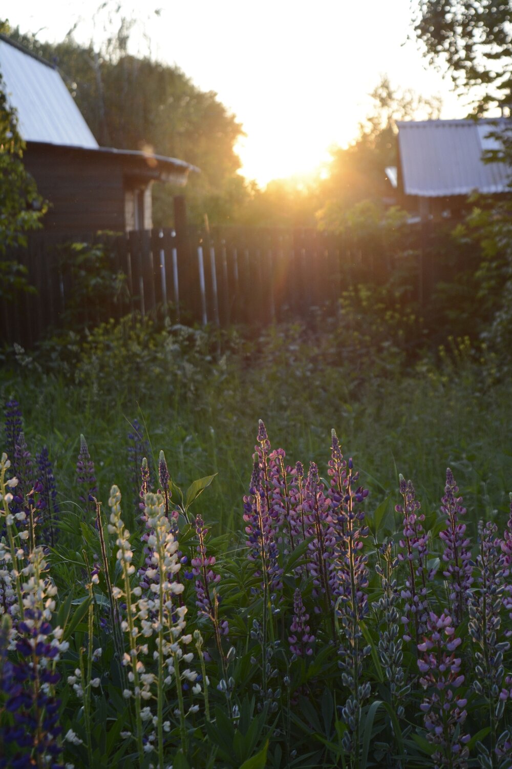 Photo #13904403