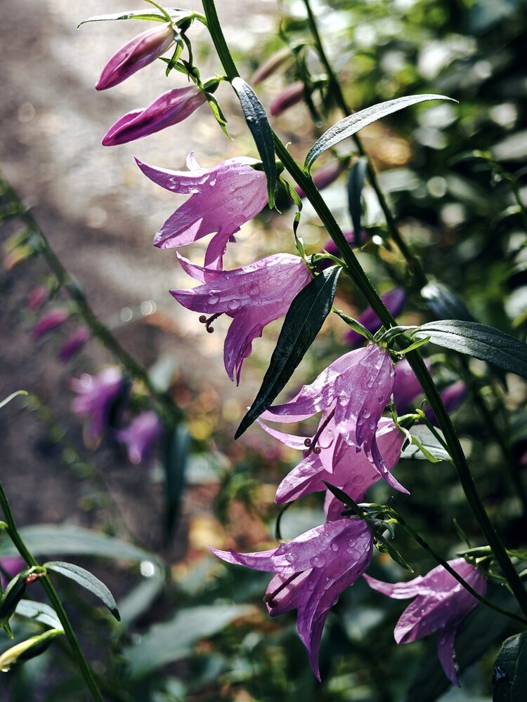 Photograph by Tatiana Pervukhina