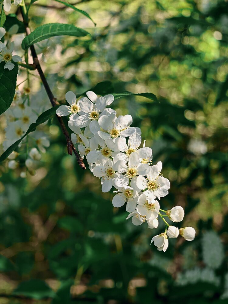 Photograph by Tatiana Pervukhina