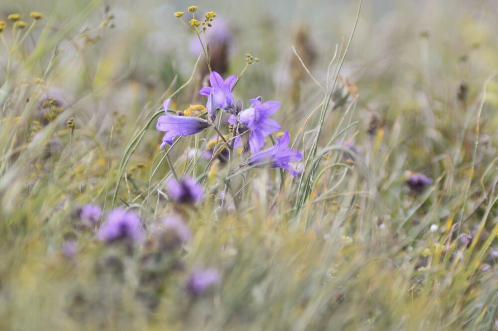 Photograph by Svetlana Timoshenko