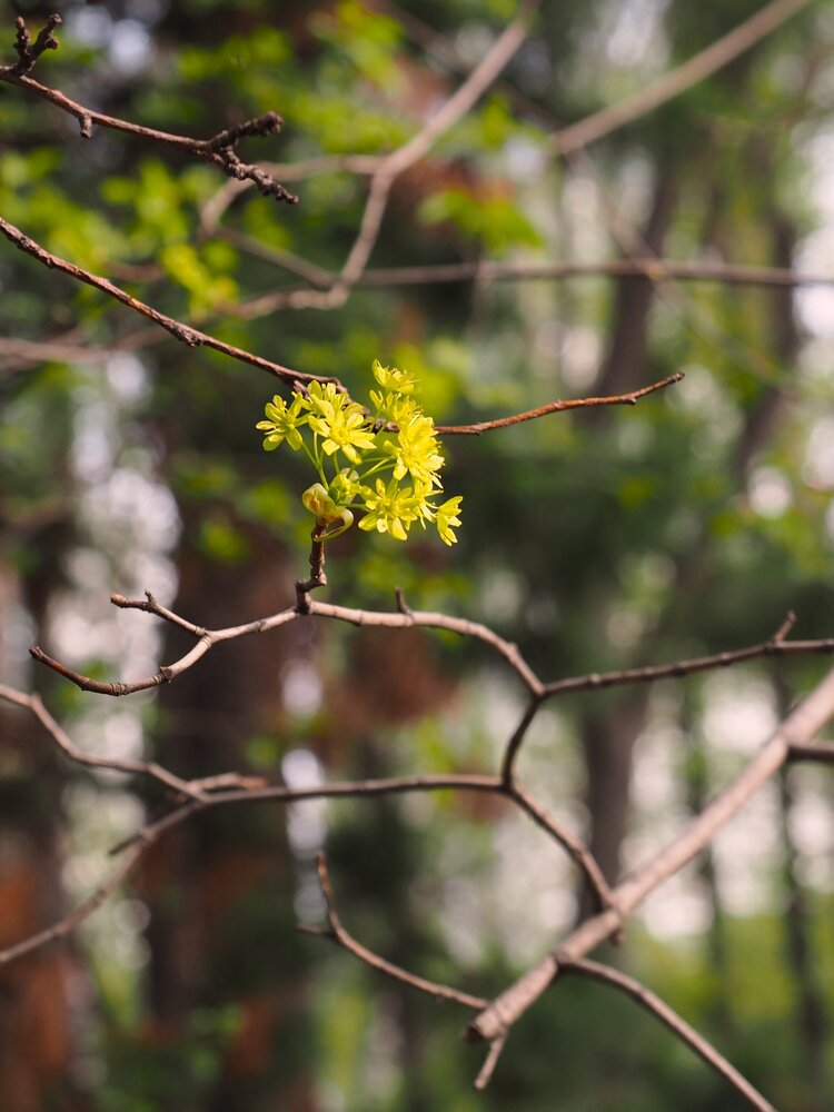 Photograph by Tatiana Pervukhina
