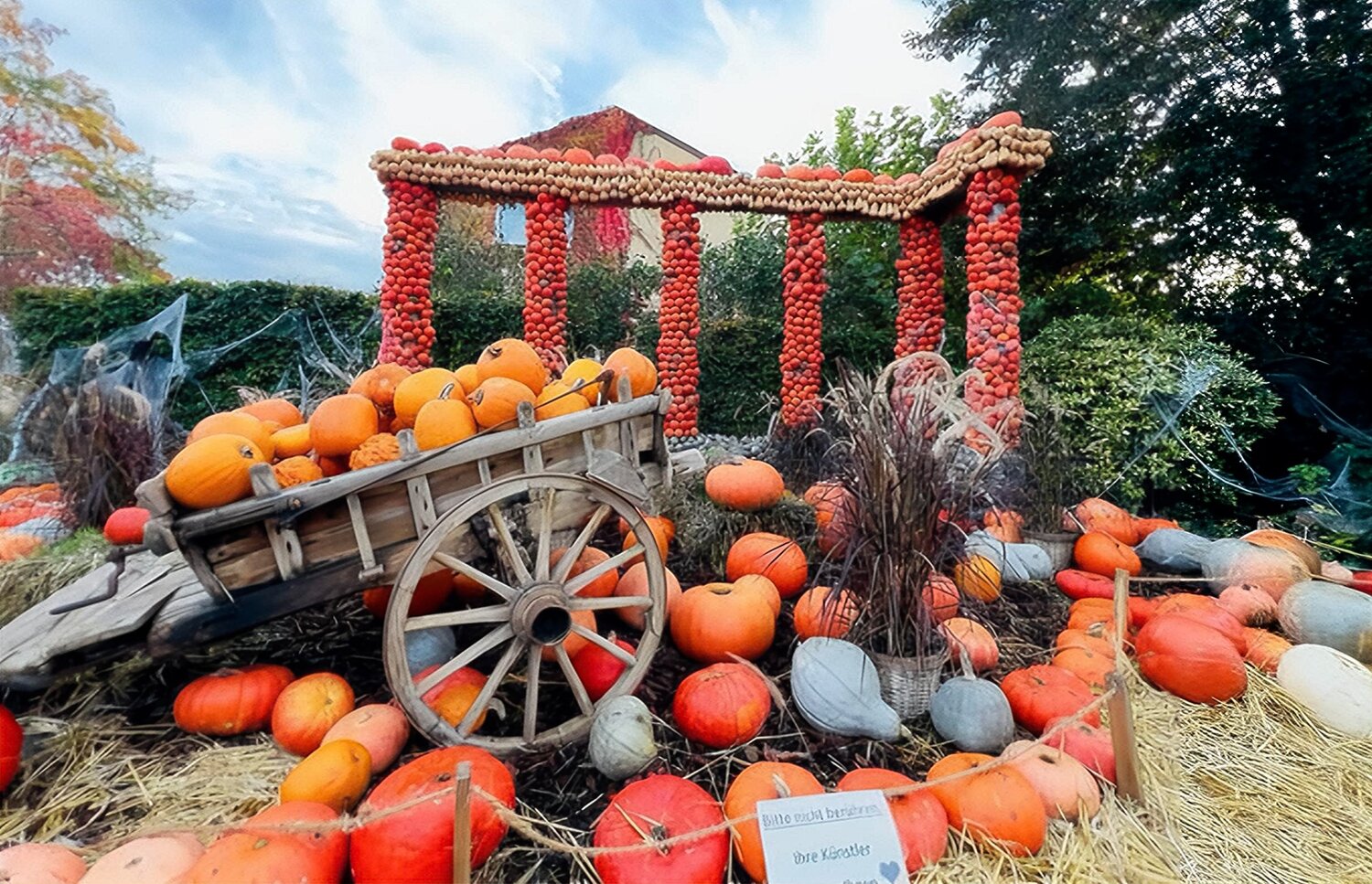 Harvest in Amber