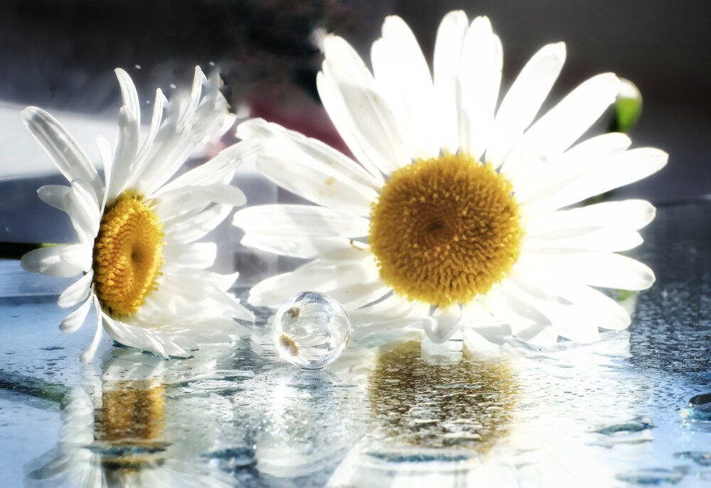 Photograph by Olga Asson