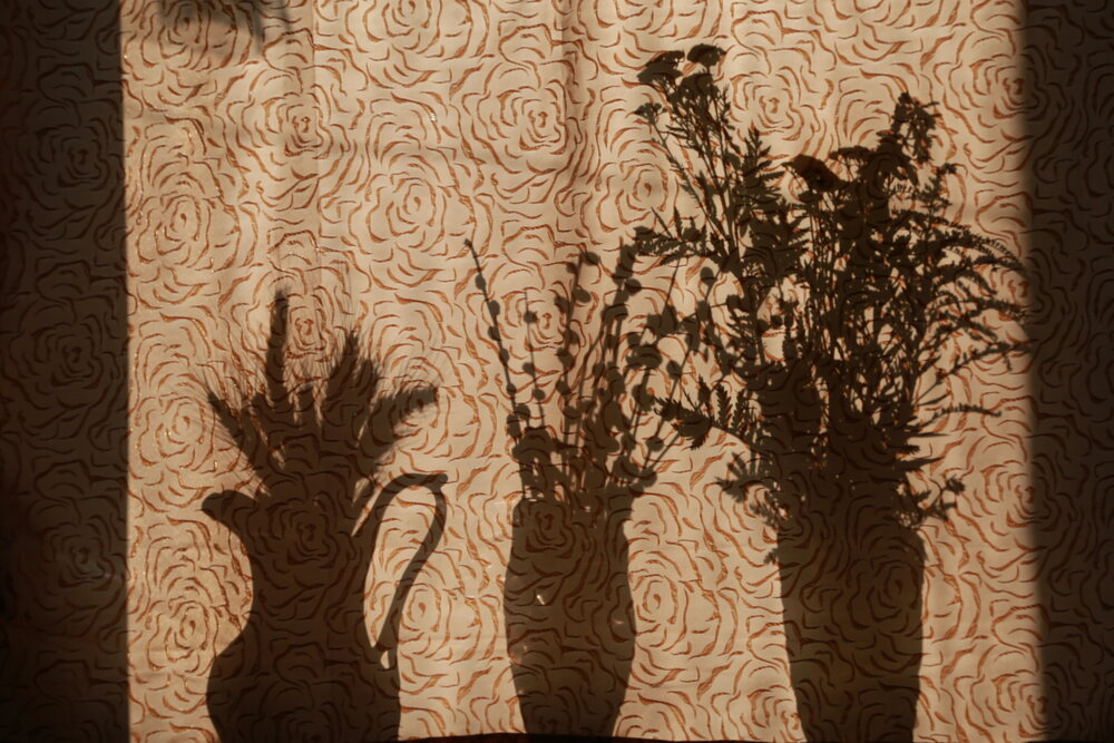 Photograph by Ольга Шабалина