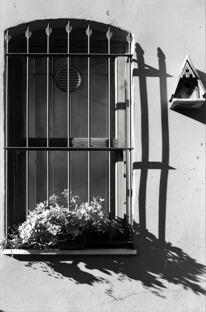 Photograph by Dima Maltsev