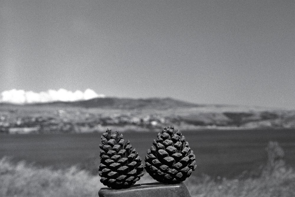 Photograph by Dima Maltsev