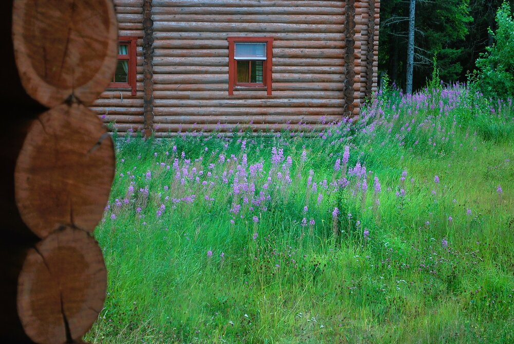 Photograph by Marina Bashaeva