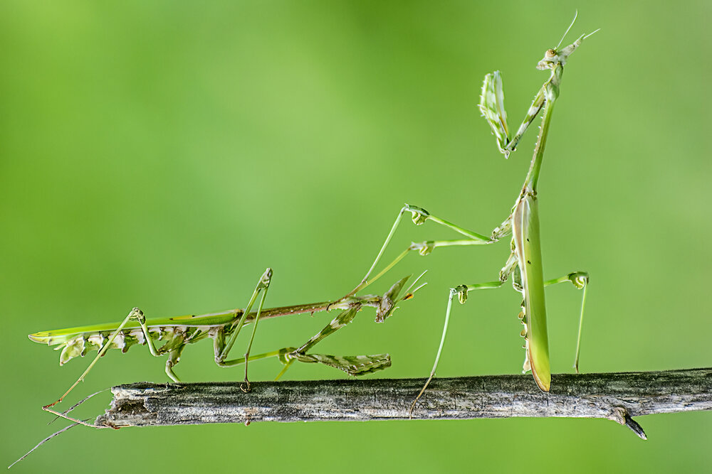 Photograph by Mukesh Tripathi