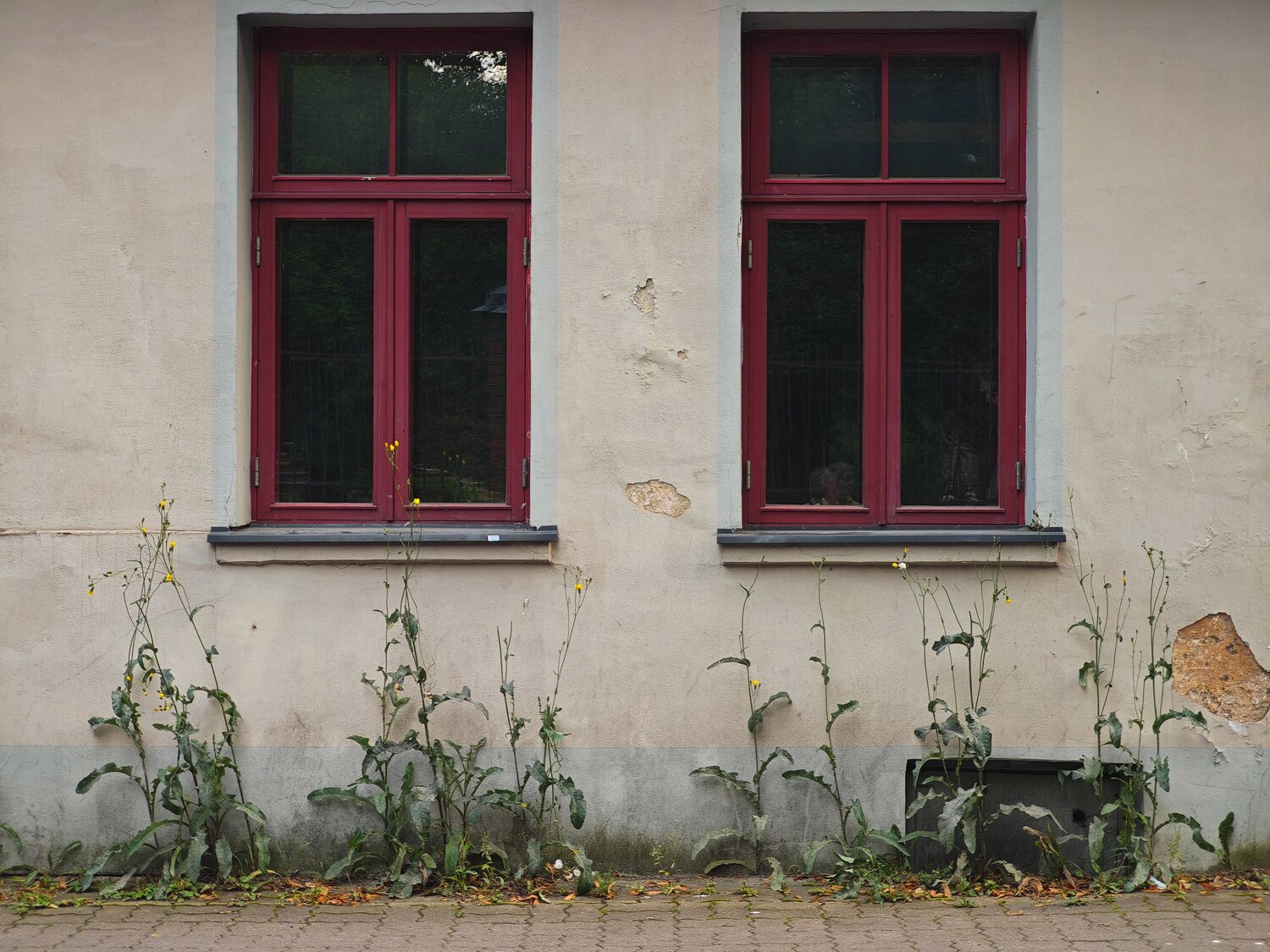 Photo #13904770
