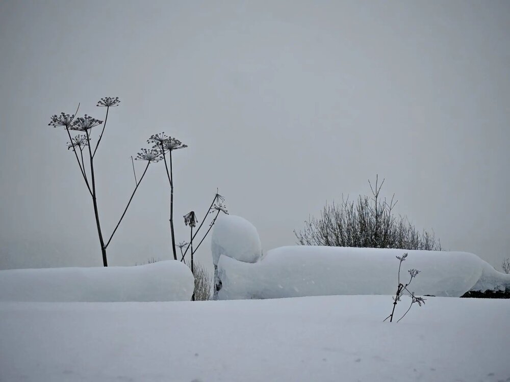 Photograph by Наталья Половая