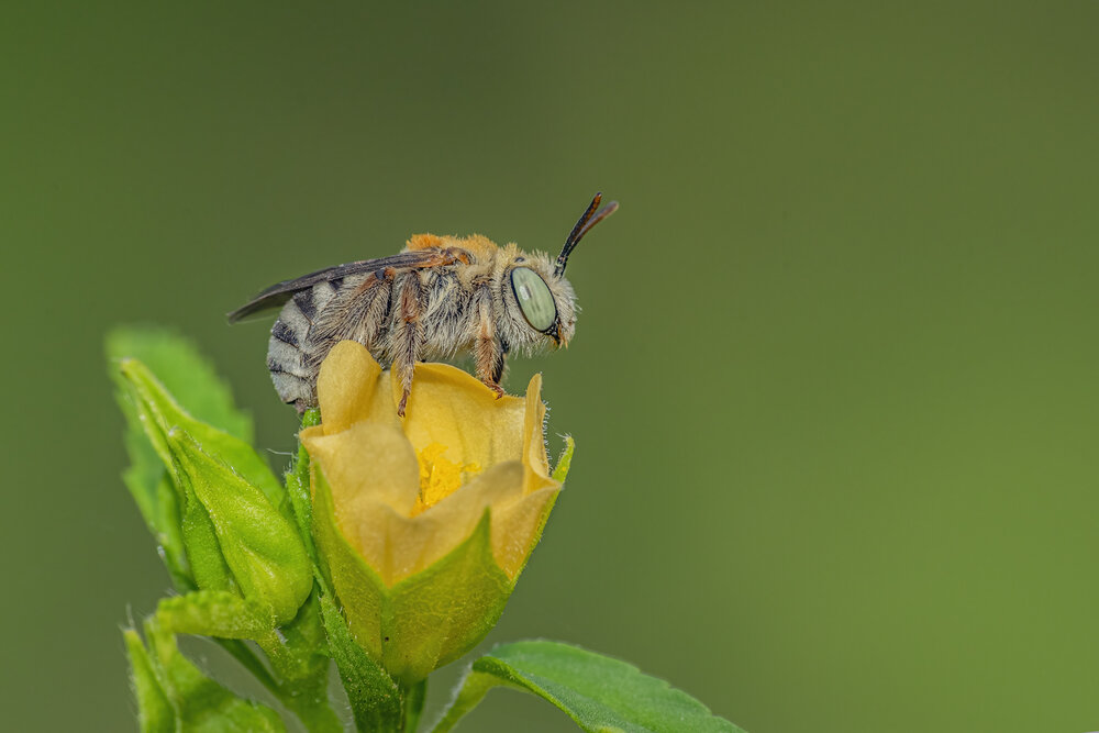 Photograph by Mukesh Tripathi