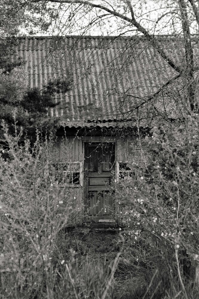 Photograph by Dima Maltsev