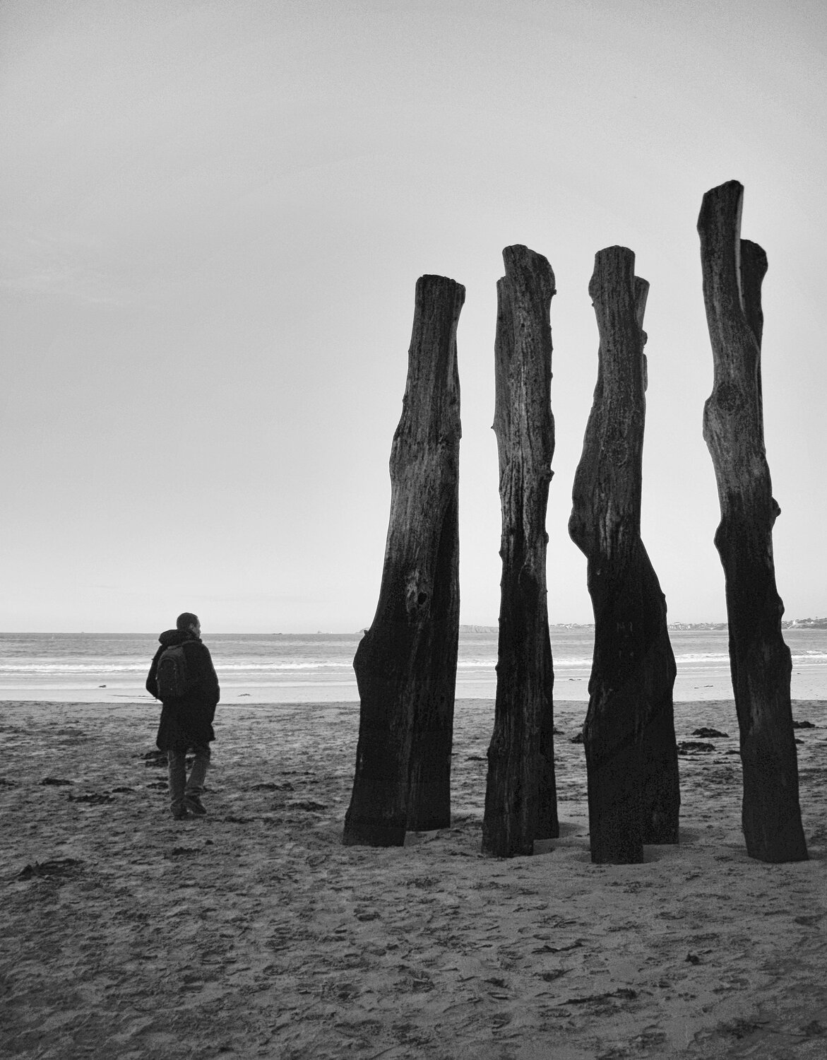 Photo #13904849