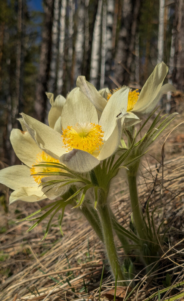 Photograph by Ольга Тимофеева