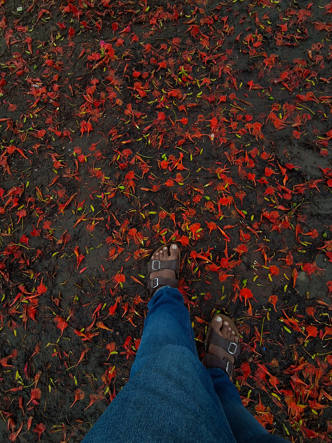 Photo #13904927