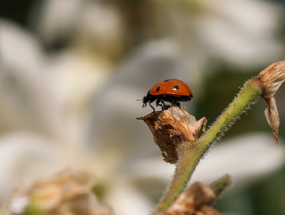 Photograph by Вячеслав Помазан