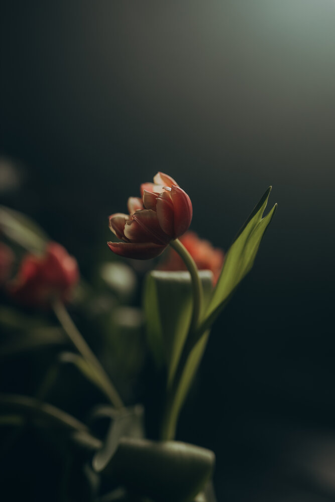 Photograph by Анна Балова