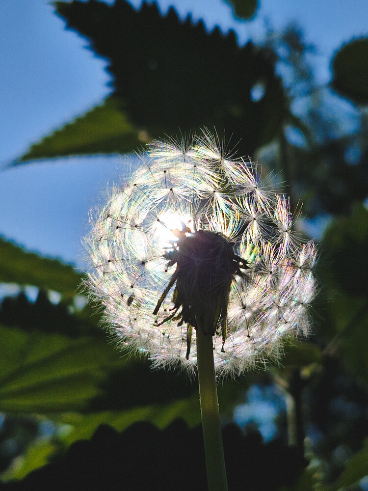 Photograph by Наталья Захарова