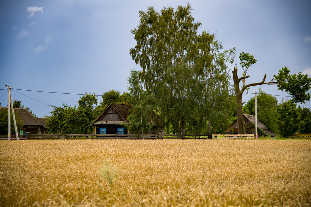Photograph by Денчук Наталья