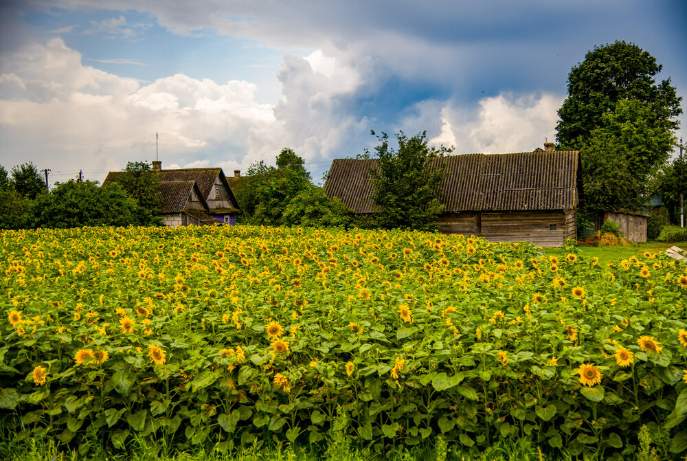 Photograph by Денчук Наталья
