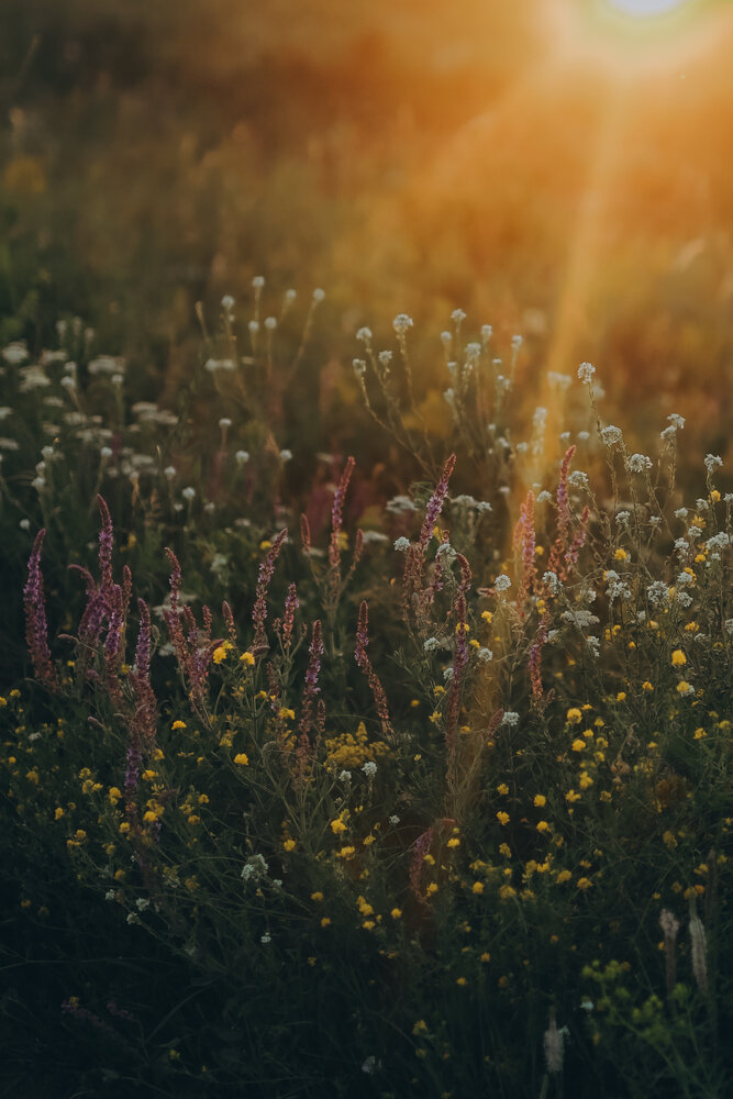 Photograph by Анна Балова