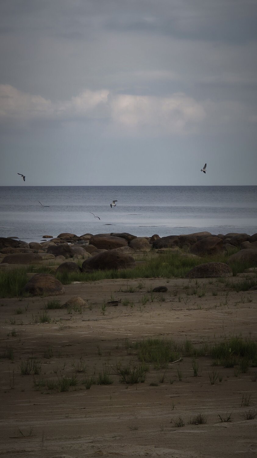 Photo #13905009