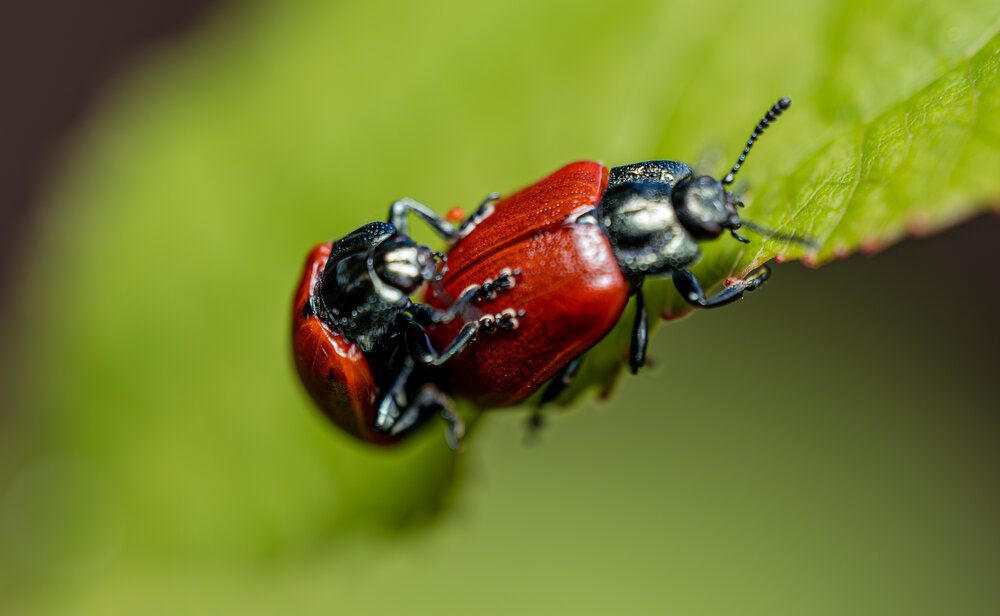 Photograph by Святослав Бондарук