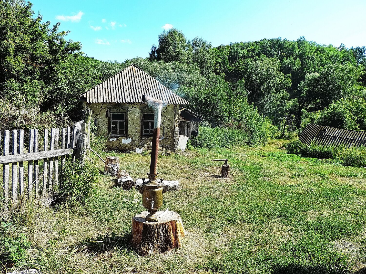 Photo #13905079