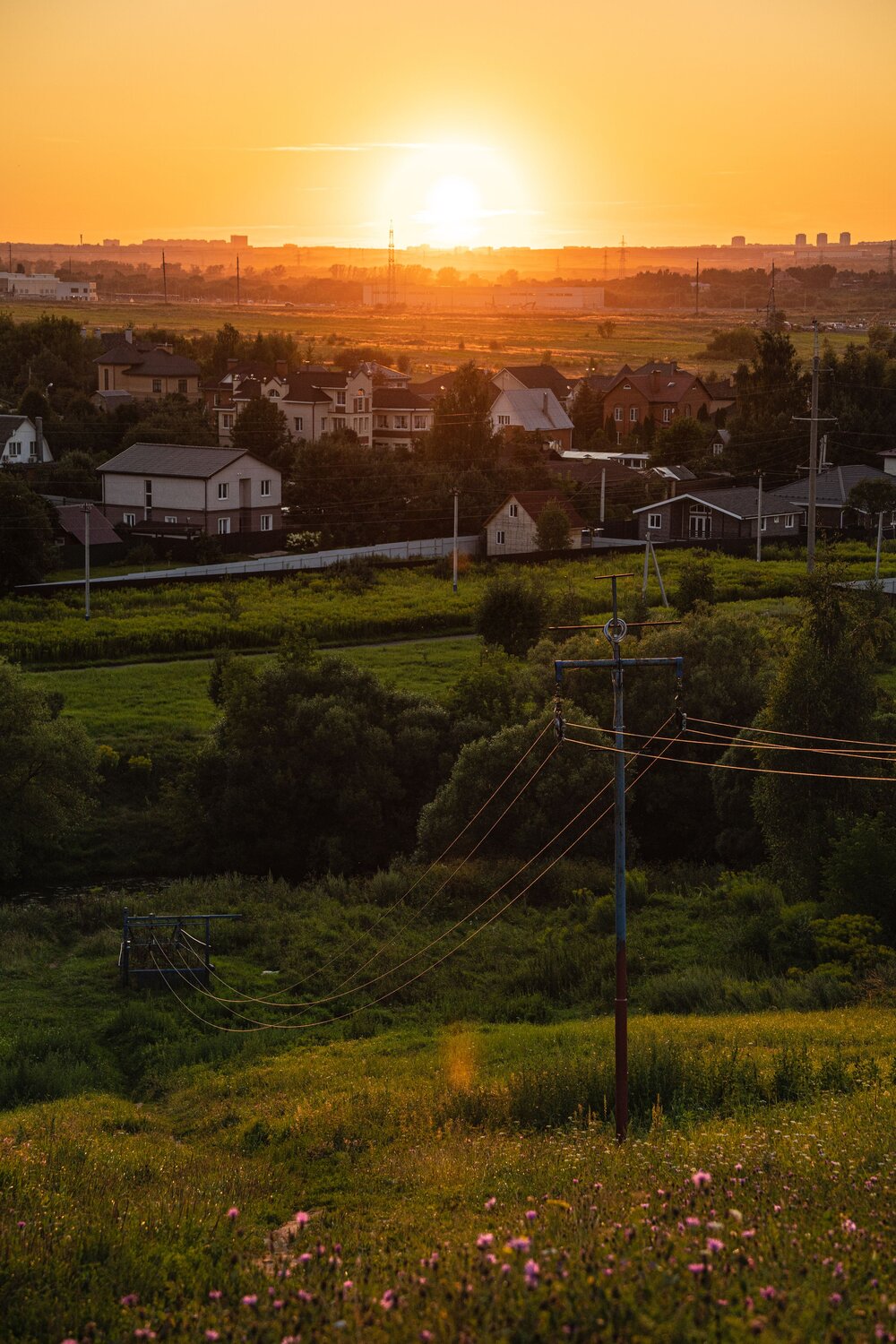 Photo #13905134