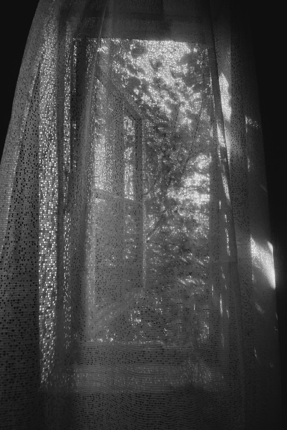 Photo #13905229