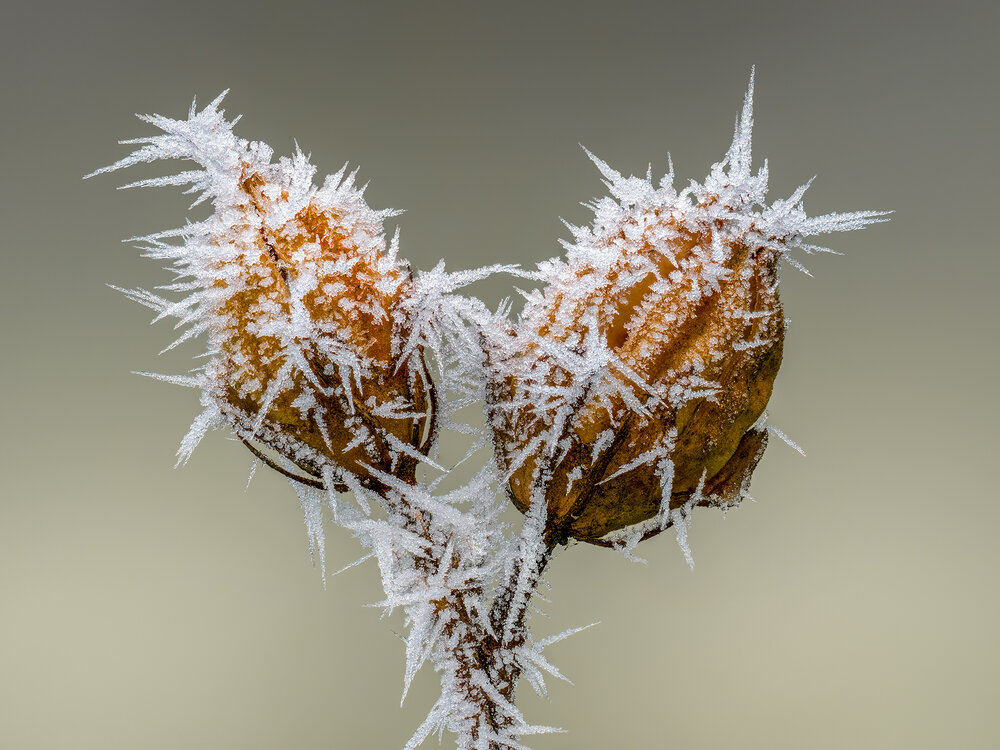 Photograph by Ireneusz Irass Walędzik