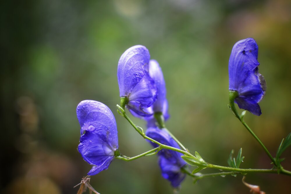 Photograph by Юлия Полтавец