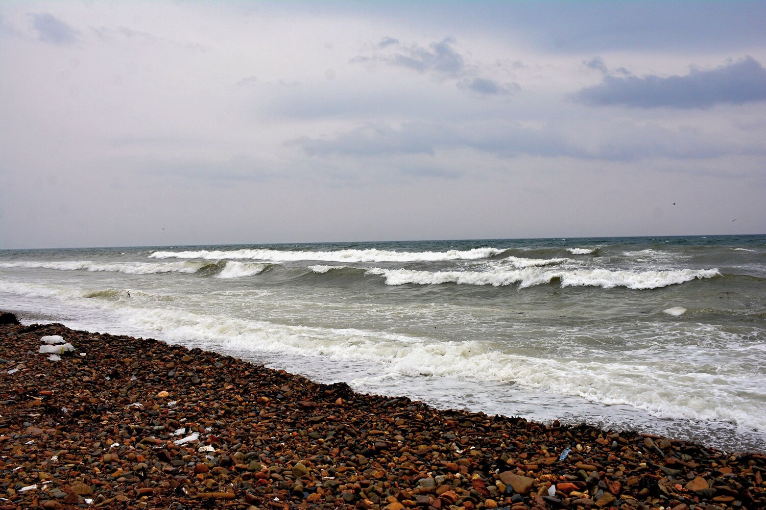 Photo #13905310